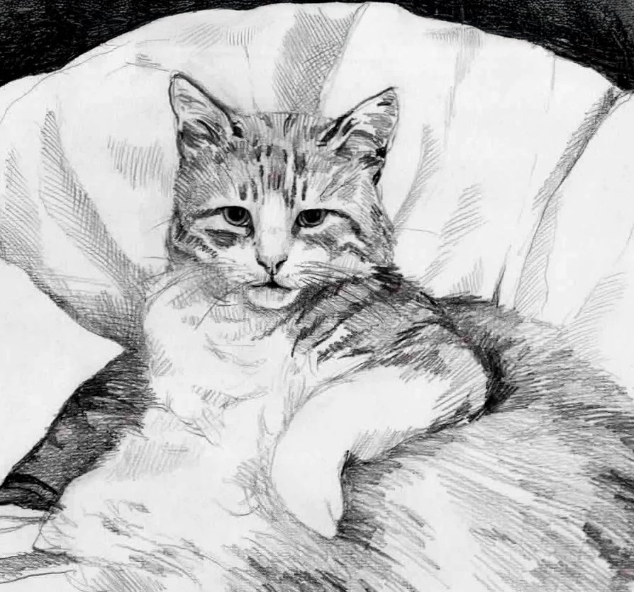Punky © Mira Maria Belniak