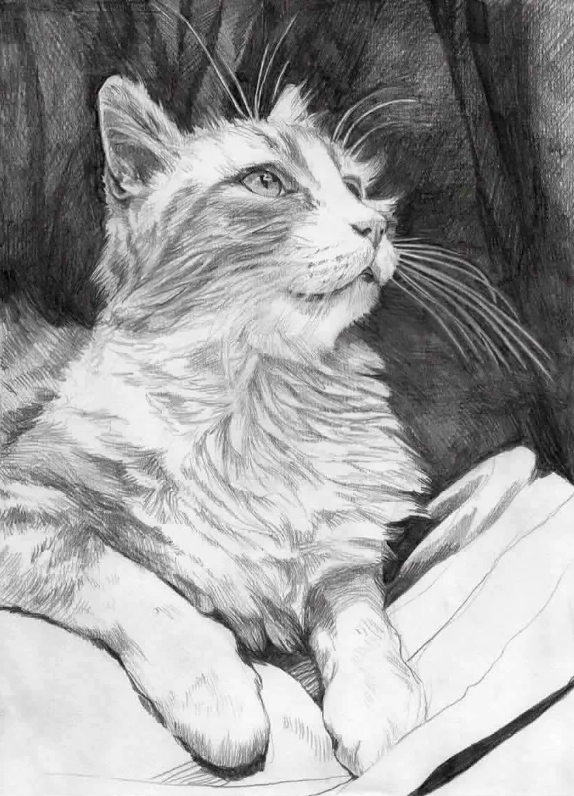 Punky © Mira Maria Belniak