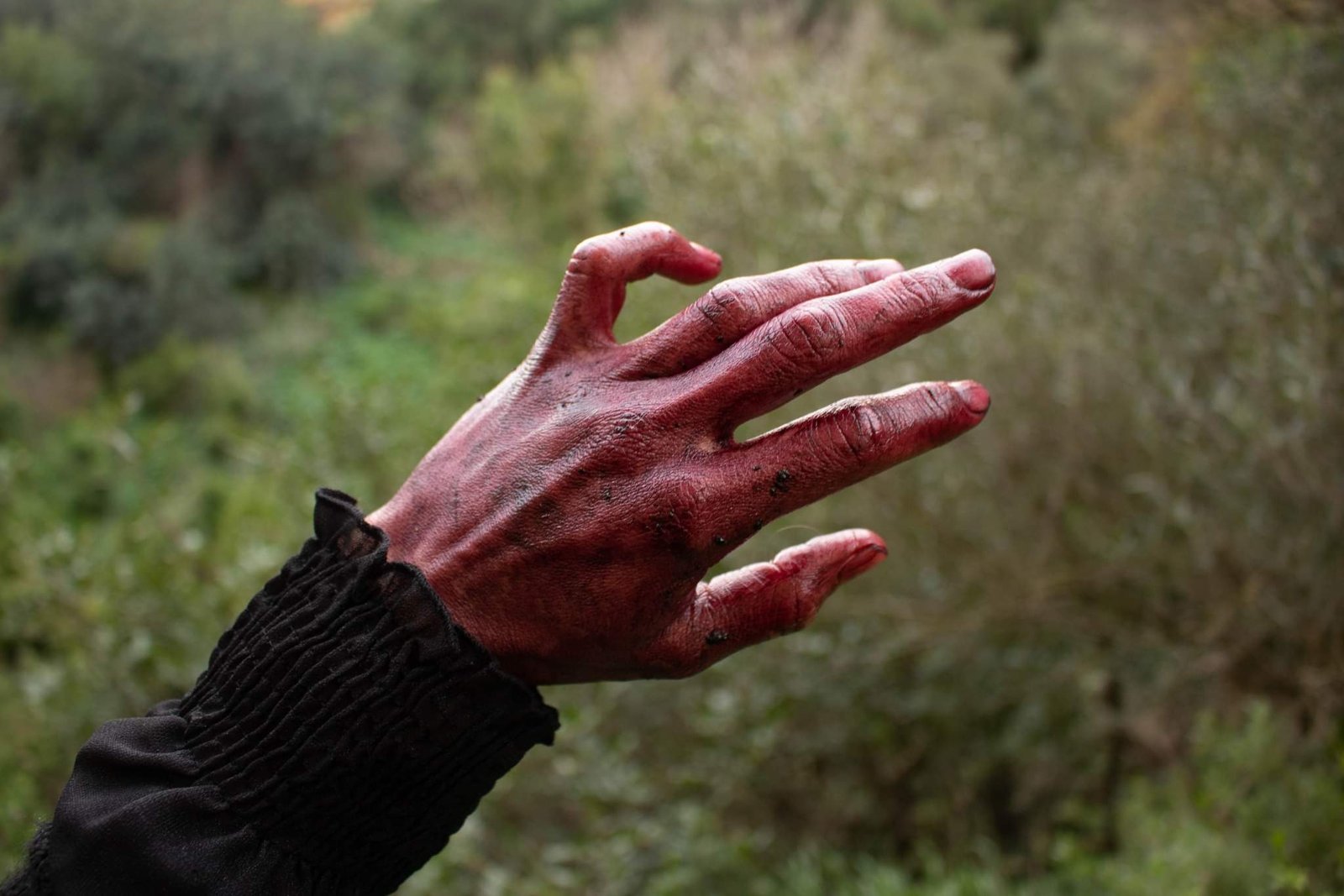 Renting in heaven yet hands feel like in blood © Mira Maria Belniak
