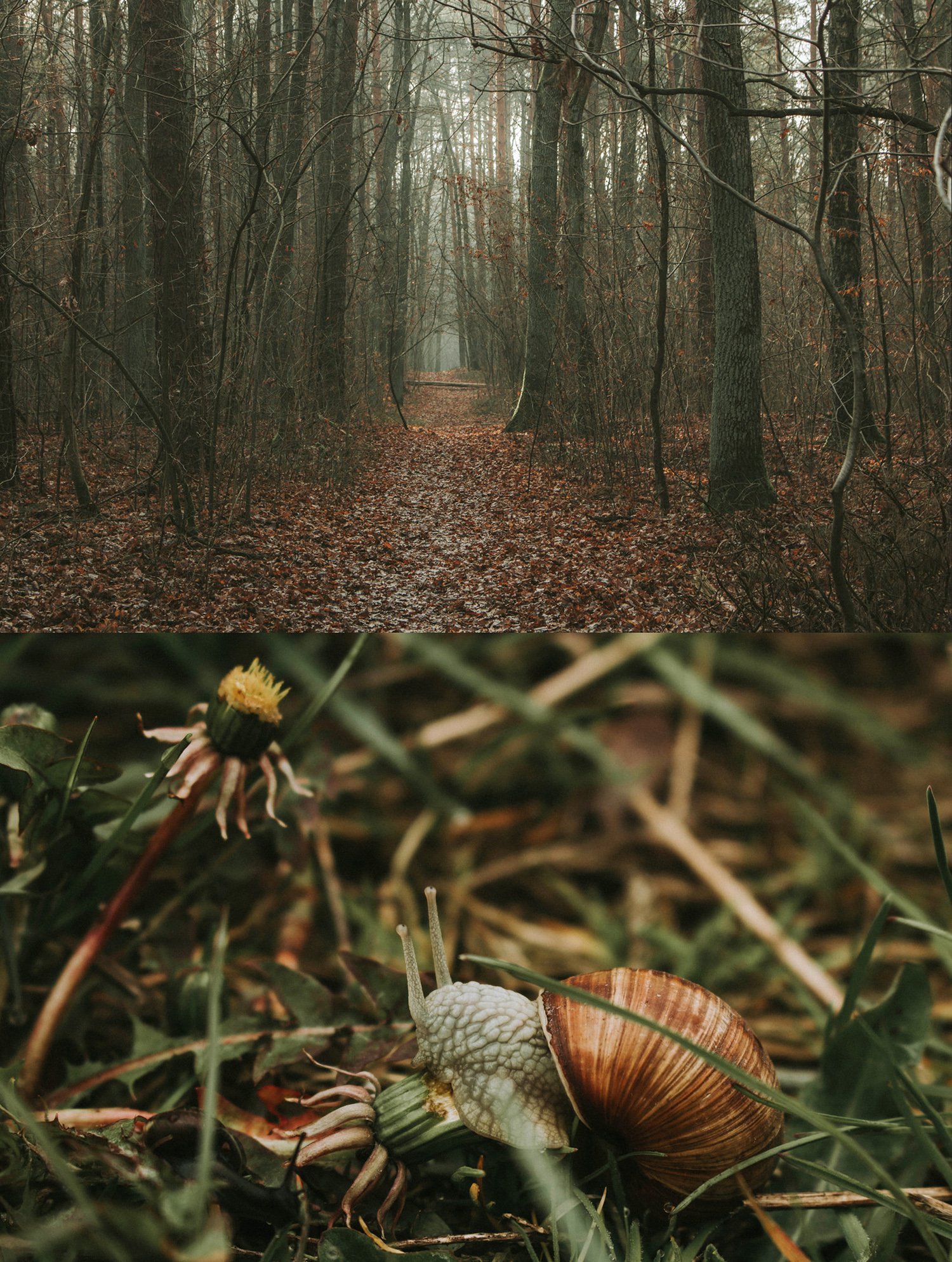 zoom in zoom out © Mira Maria Belniak