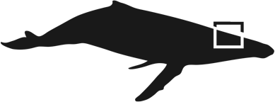 whale's eye icon