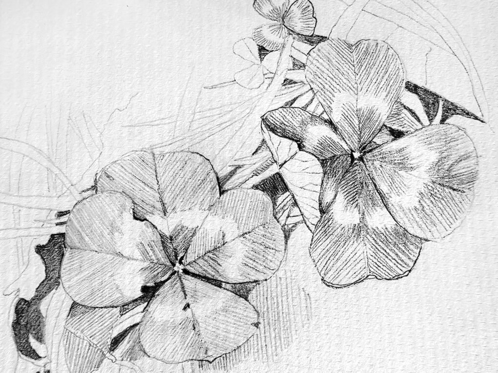 The Fourth Leaf