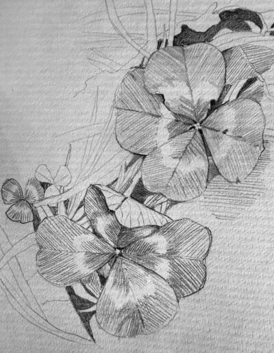 Clovers — Mira Maria Belniak, Warsaw, Poland, 2016