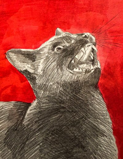 Dax — Mira Maria Belniak, Warsaw, Poland, 2024