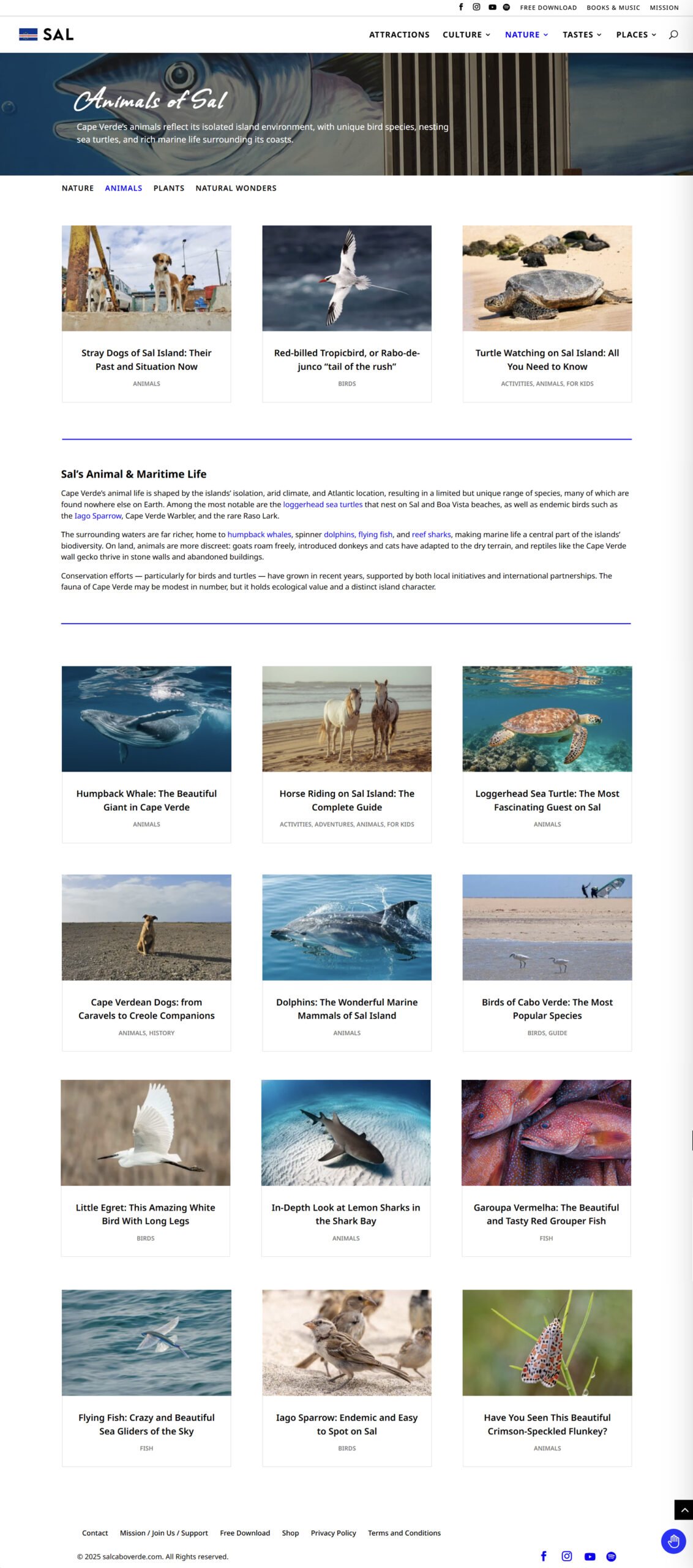 Sal-Cabo-Verde-animals