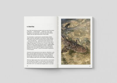 Sal Island Travel Guide - Mira Maria Belniak