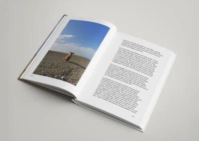 Sal Island Travel Guide - Mira Maria Belniak