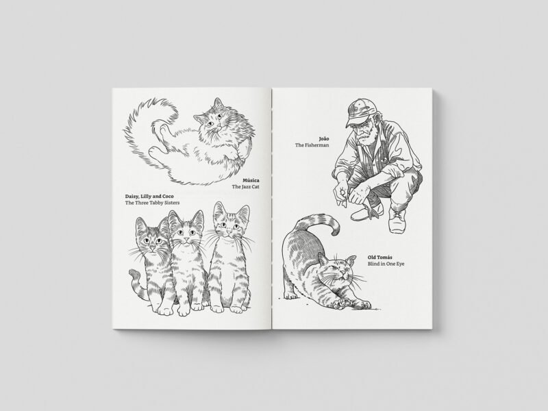 Martina & the Cats of Santa Maria: A Cat’s Guide to Slow Life on Sal Island, Cape Verde