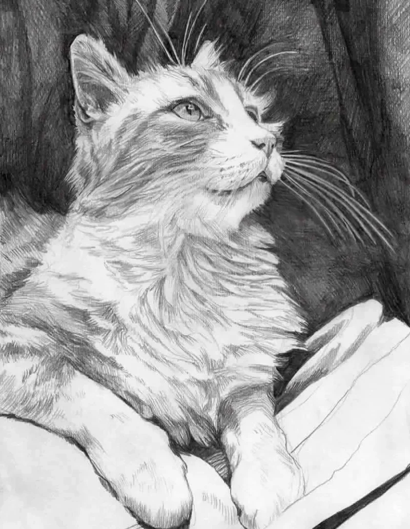 Punky © Mira Maria Belniak
