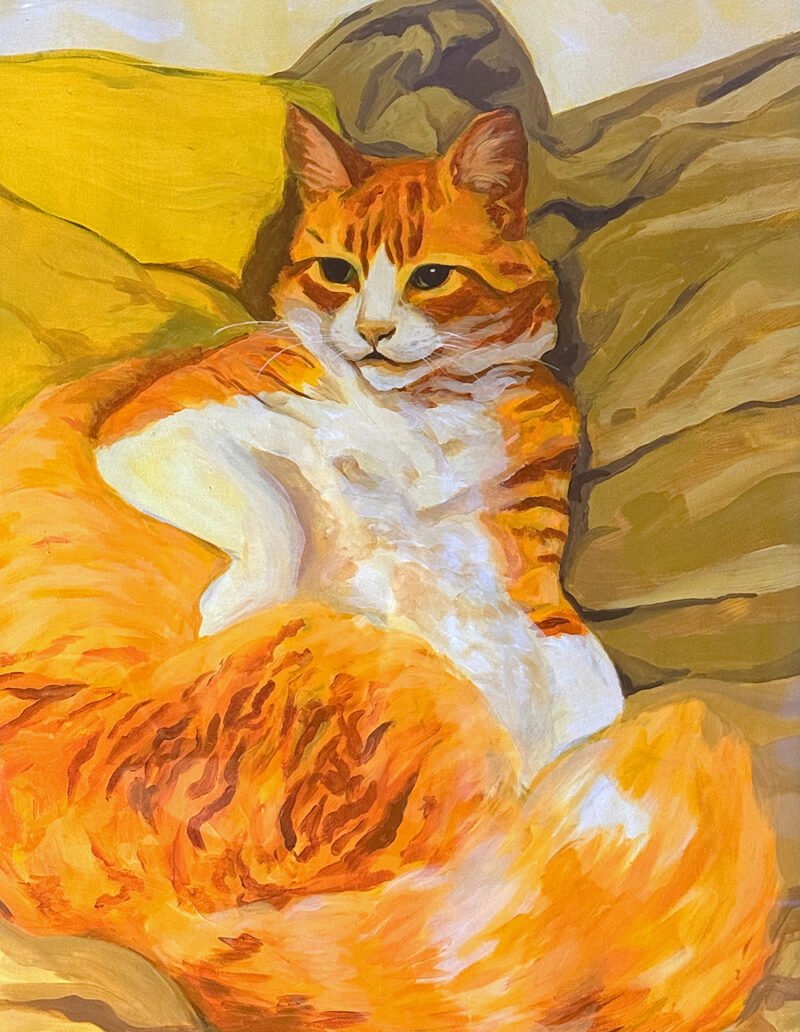 Punky, the king © Mira Maria Belniak
