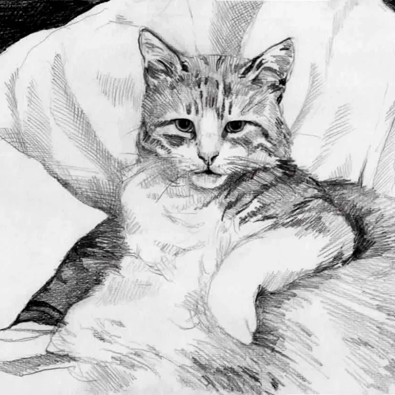 Punky © Mira Maria Belniak