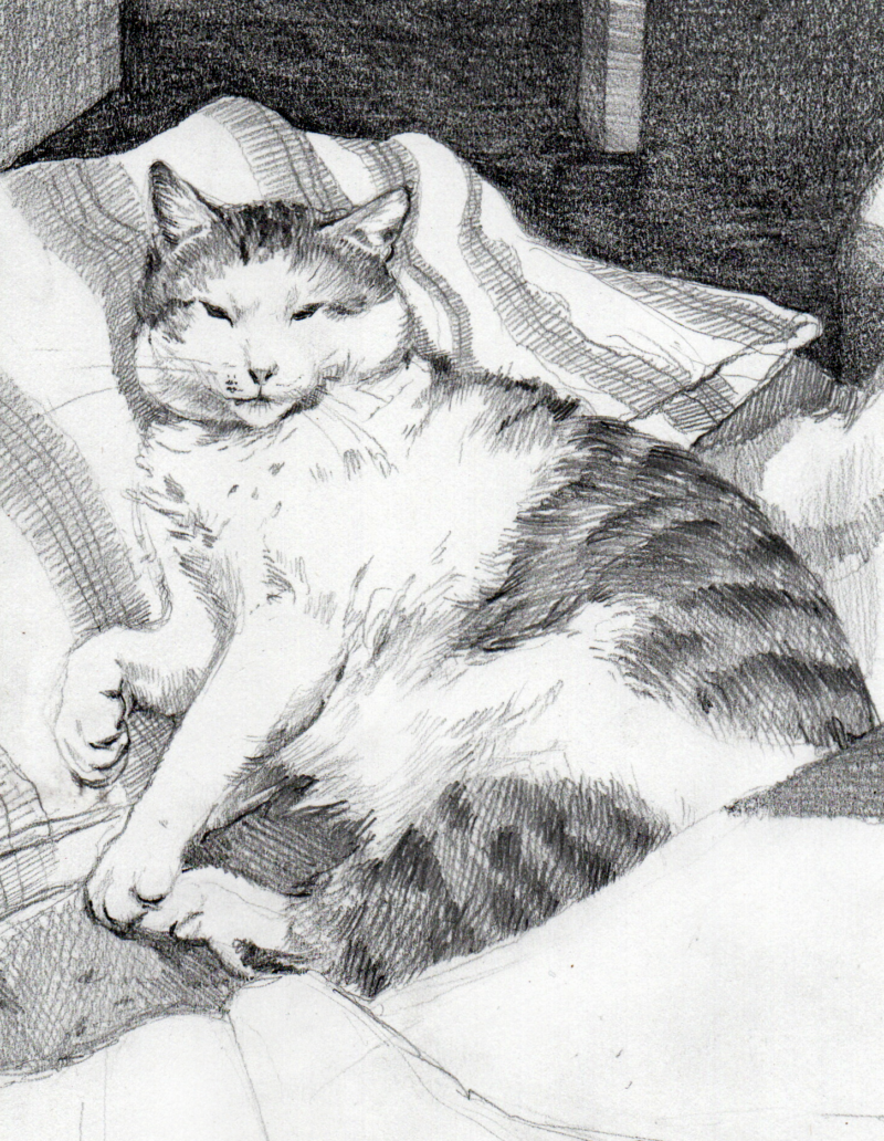 Lucy looks judgmental even when he rests, Kanie, Poland, 2023 © Mira Maria Belniak
