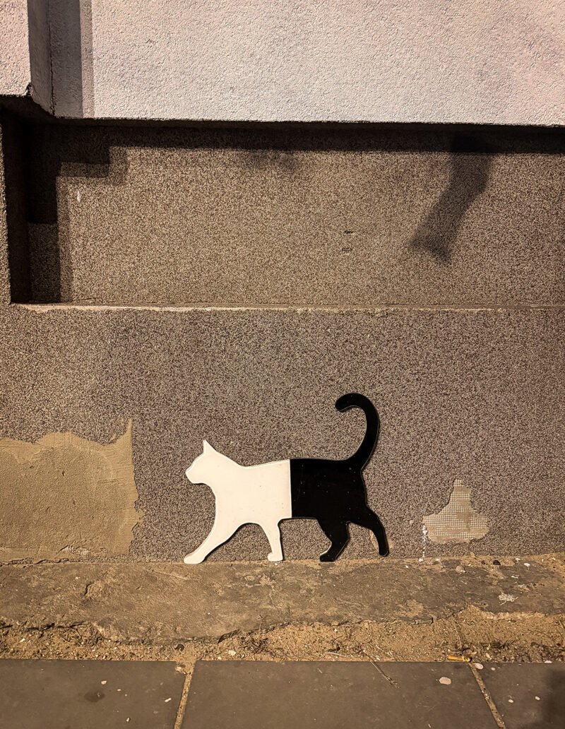 Street cat duality, Ochota, Warsaw, Poland
